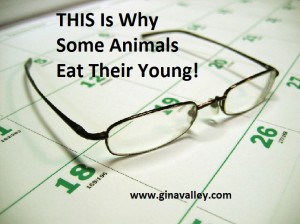 Humor Funny Humorous Family Life Love Laugh Laughter Parenting Mom Moms Dad Dads Parenting Child Kid Kids Children Son Sons Daughter Daughters Brother Brothers Sister Sisters Grandparent Grandma Grandpa Grandparents Grandfather Grandmother Parenting Gina Valley Naps Teenagers THIS Is Why Some Animals Eat Their Young! 