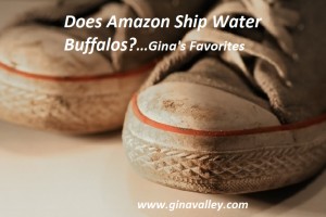 Humor Funny Humorous Family Life Love Laugh Laughter Parenting Mom Moms Dad Dads Parenting Child Kid Kids Children Son Sons Daughter Daughters Brother Brothers Sister Sisters Grandparent Grandma Grandpa Grandparents Grandfather Grandmother Parenting Gina Valley Totally Does Amazon Ship Water Buffalos?...Gina’s Favorites Pets Packing Road Trip