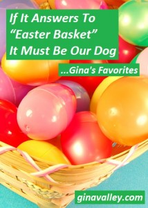 Humor Funny Humorous Family Life Love Laugh Laughter Parenting Mom Moms Dad Dads Parenting Child Kid Kids Children Son Sons Daughter Daughters Brother Brothers Sister Sisters Grandparent Grandma Grandpa Grandparents Grandfather Grandmother Parenting Gina Valley If It Answers To “Easter Basket” It Must Be Our Dog...Gina's Favorites Pets Dumb