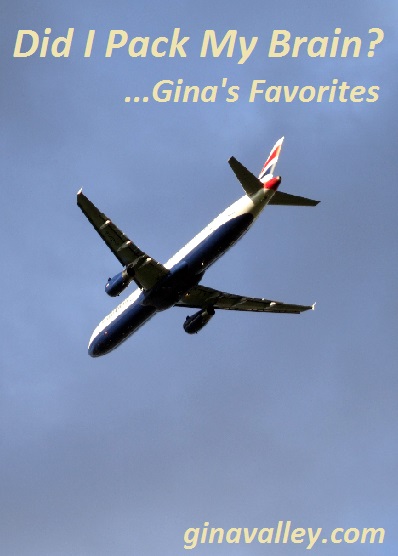 Funny Humor Duh Moments http://ginavalley.com/  Did I Pack My Brain?...Gina's Favorites  – Read & Laugh All About It!