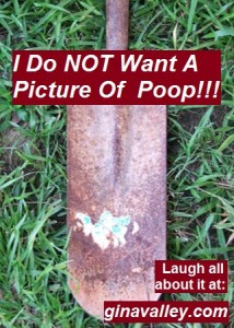 Humor Funny Humorous Family Life Love Laugh Laughter Parenting Mom Moms Dad Dads Parenting Child Kid Kids Children Son Sons Daughter Daughters Brother Brothers Sister Sisters Grandparent Grandma Grandpa Grandparents Grandfather Grandmother Parenting Gina Valley I Do NOT Want A Picture Of Poop Dogs Pets