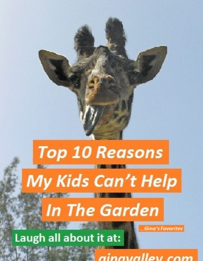 Top 10 Reasons My Kids Can’t Help In Our Garden