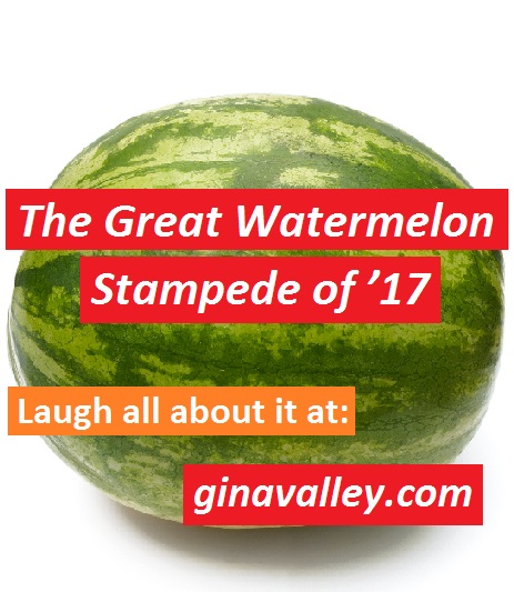 Humor Funny Humorous Family Life Love Laugh Laughter Parenting Mom Moms Dad Dads Parenting Child Kid Kids Children Son Sons Daughter Daughters Brother Brothers Sister Sisters Grandparent Grandma Grandpa Grandparents Grandfather Grandmother Parenting Gina Valley The Great Watermelon Stampede of ’17 Shopping